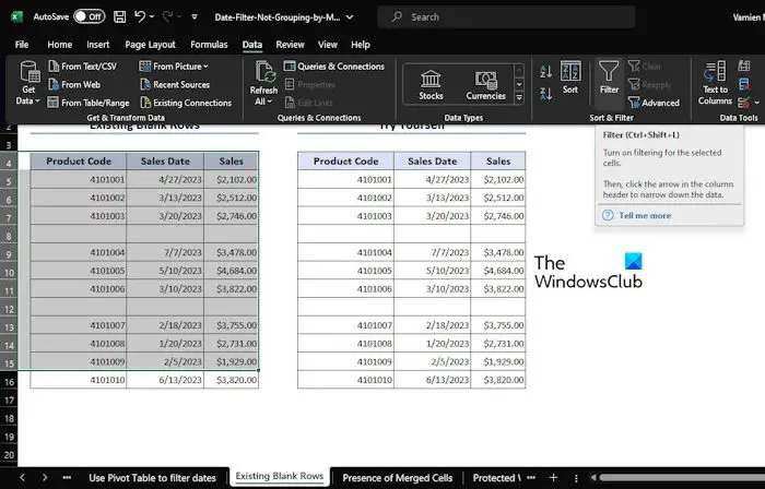 Excel Filter Date