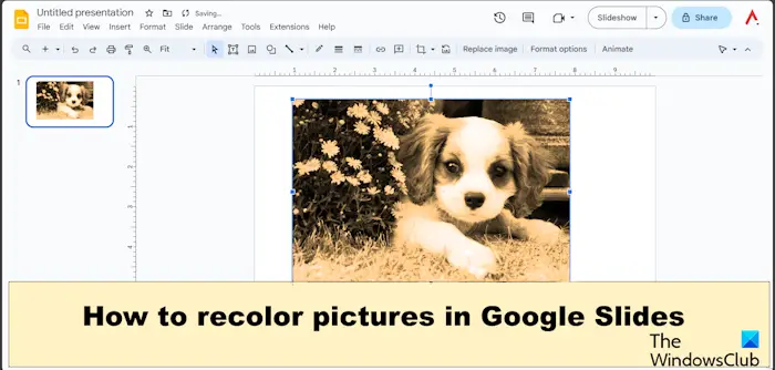 How to recolor pictures in Google Slides