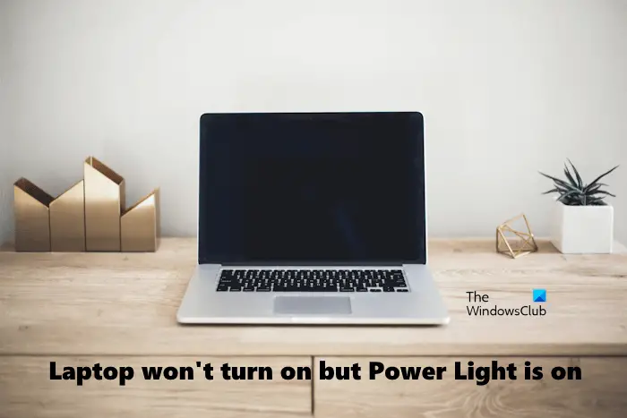 Laptop won't turn on but Power Light is on