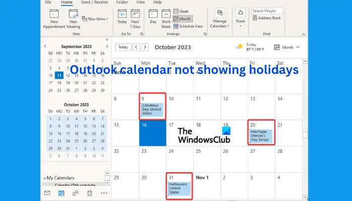 Outlook calendar not showing holidays