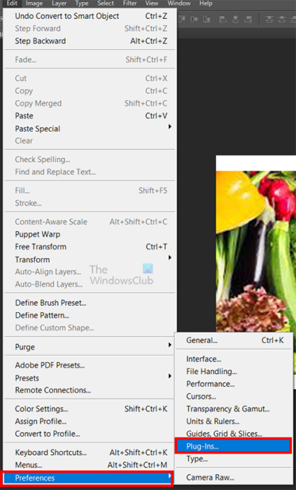 Photoshop plugins - Preferences 1