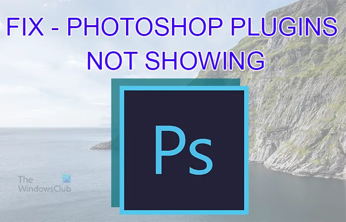 Photoshop plugins not showing