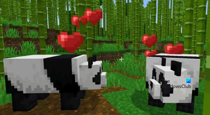 How to make pandas breed in Minecraft