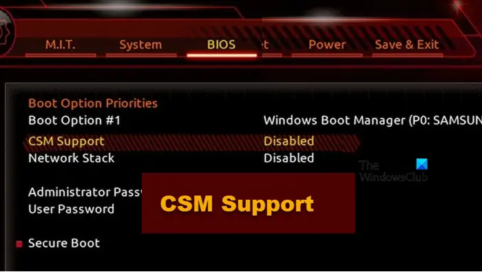 CSM Support in BIOS