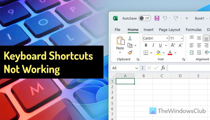 Keyboard shortcuts not working in Excel