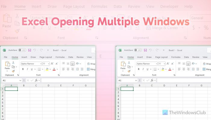 How to stop Excel from opening two windows