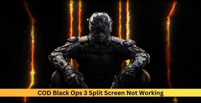 Fix COD Black Ops 3 Split Screen not working