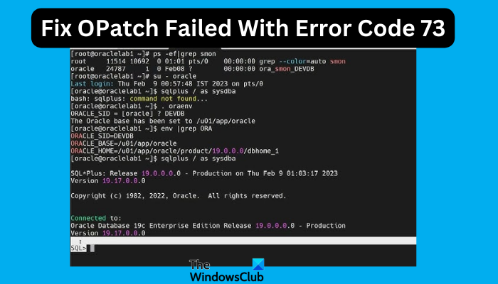 Fix OPatch Failed With Error Code 73