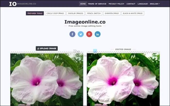 Best Free Online Image Size Finder Tool