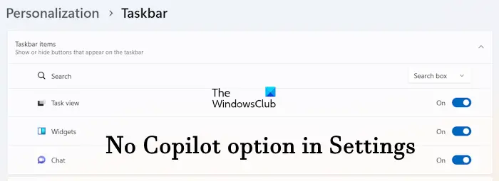 No Copilot option in Settings