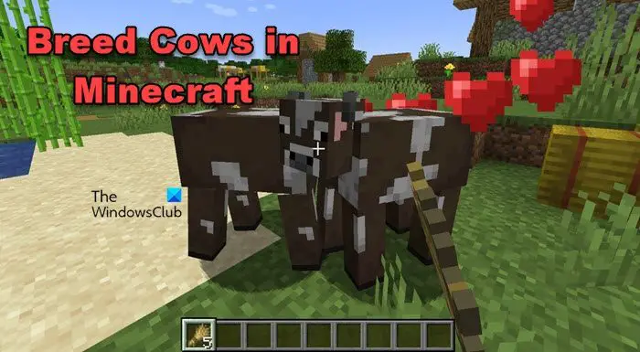 Breed Cows in Minecraft