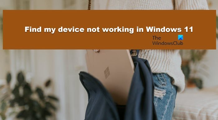 Find my device not working in Windows 11
