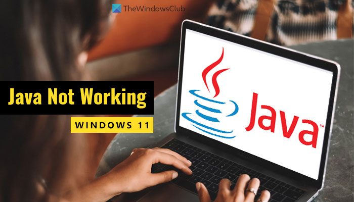 Java not working in Windows 11