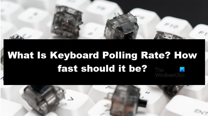 What is Keyboard Polling Rate