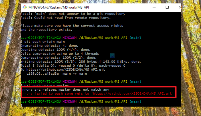 src refspec main does not match any