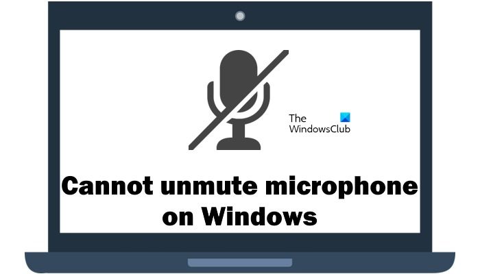 Cannot unmute microphone on Windows