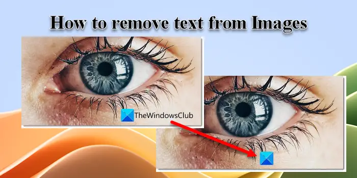 How to remove text from Images