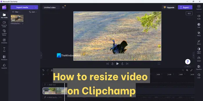 如何在 Clipchamp 上调整视频大小