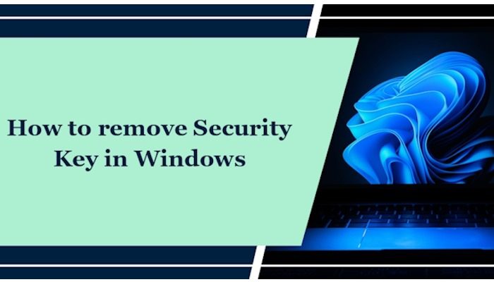 How to remove Security Key in Windows 11