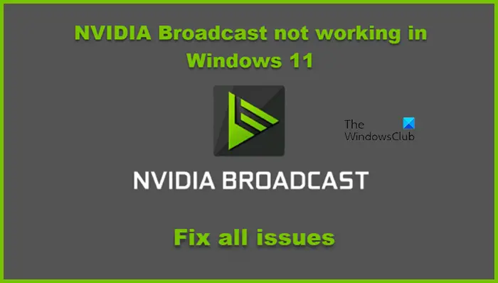 NVIDIA Broadcast not working in Windows 11