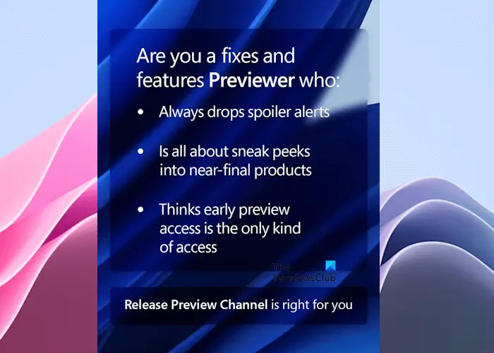 Release Preview Channel