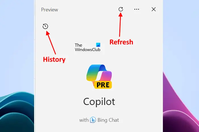 View Copilot History and Refresh Copilot