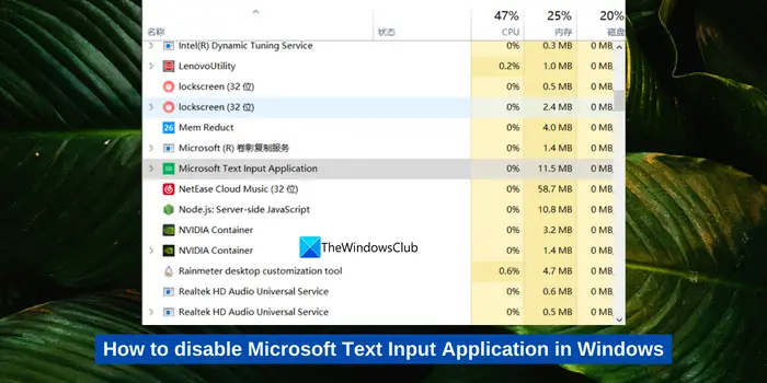 disable Microsoft Text Input Application in Windows