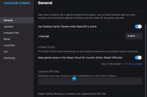 CS2: This application requires DX11, No valid device found