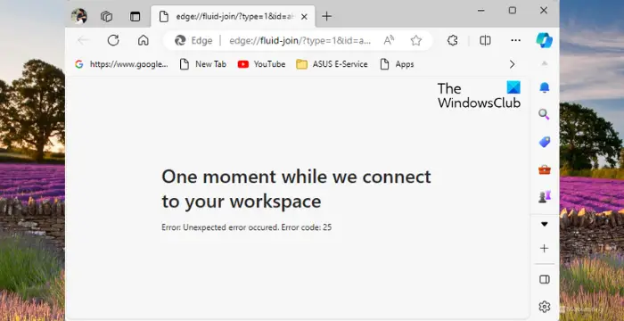 连接到 Edge Workspace 时出现错误代码 25