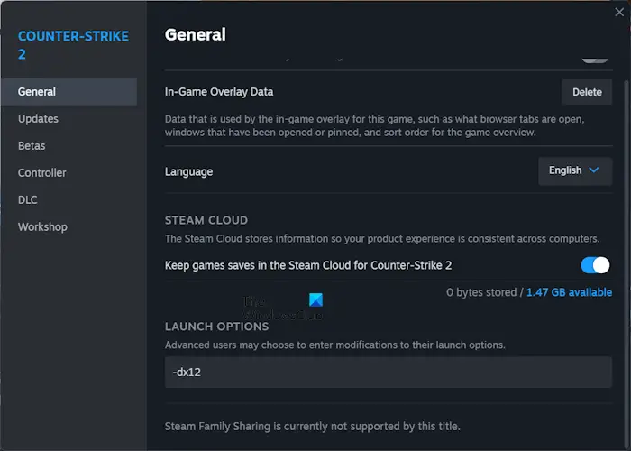 Game launch options in Steam