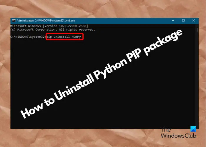 Uninstall Python PIP package 
