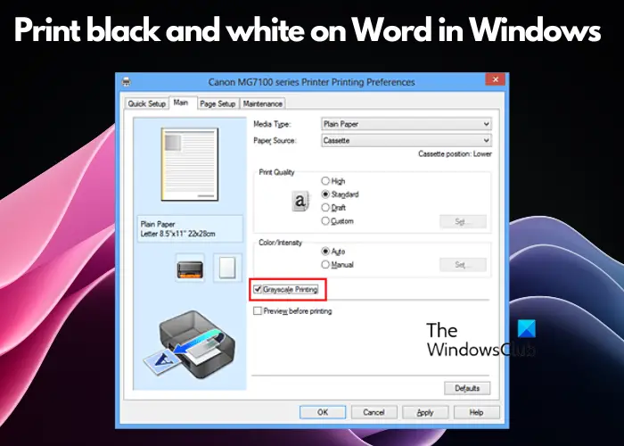 Print black and white on Word Windows 11