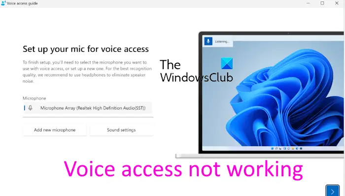 语音访问在 Windows 上不起作用