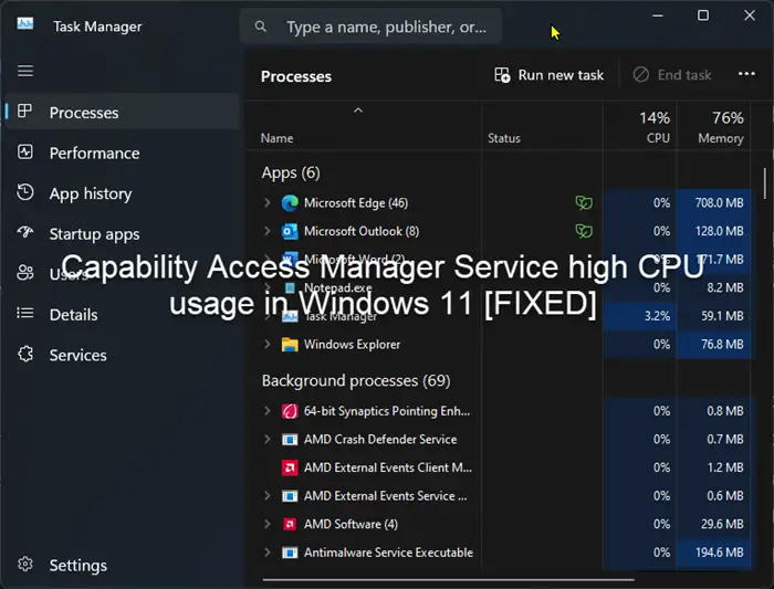Capability Access Manager Service high CPU usage in Windows 11