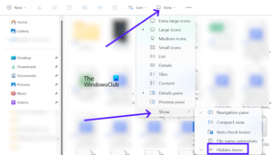 Google Drive files and folders not showing up [Fix]