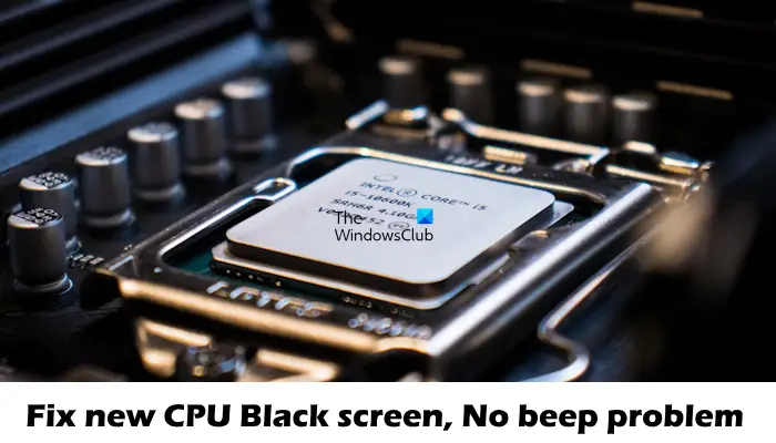 Repare la nueva pantalla negra de la CPU, no hay problema de pitido