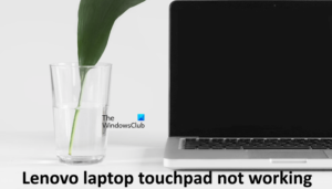 LENOVO THINKBOOK 14 G4 IAP TOUCHPAD NOT WORKING visual data 7