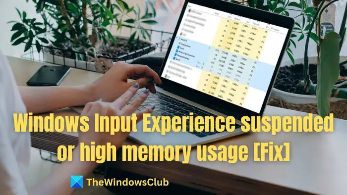 Windows Input Experience suspended or high memory usage