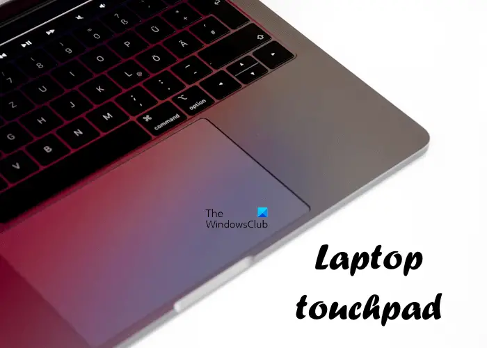 laptp touchpad