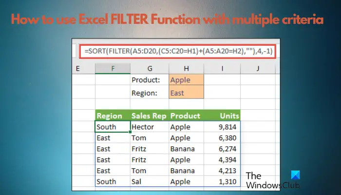 Excel FILTER Function with multiple criteria