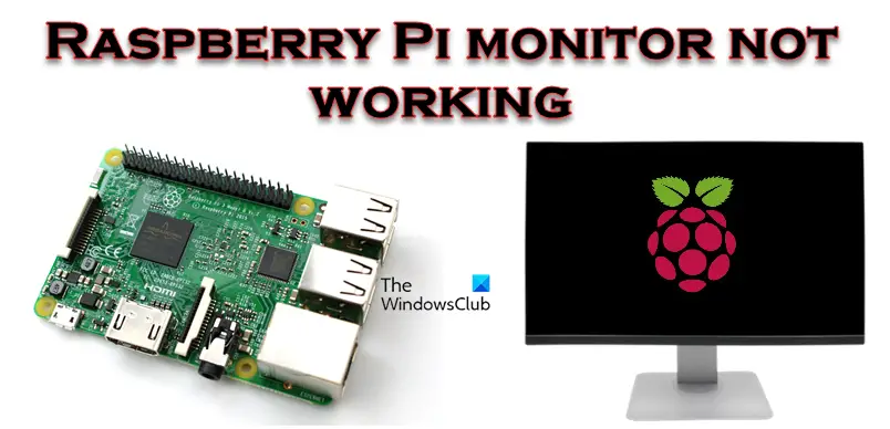 Raspberry Pi monitor not working