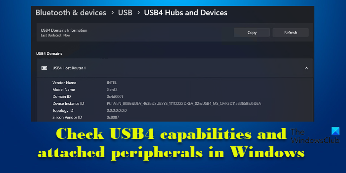 Check USB4 capabilities and attached peripherals