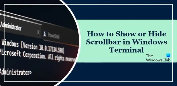 How to Show or Hide Scrollbar in Windows Terminal
