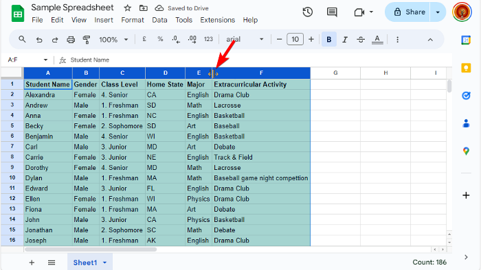 Make all cells the same size in Excel and google sheets
