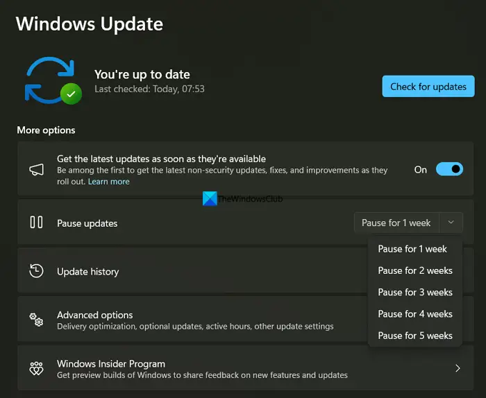 Pause Windows updates