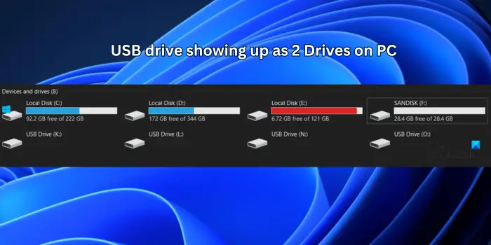 USB drive showing up as 2 Drives on PC