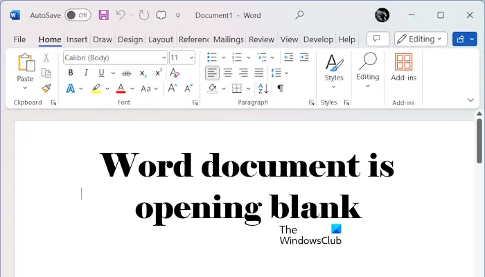 Word document is opening blank