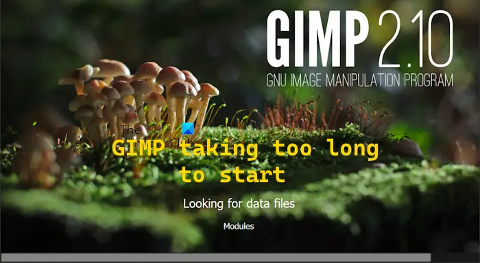 GIMP taking long to open