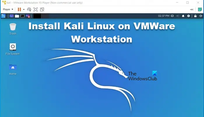 install Kali Linux on VMWare Workstation