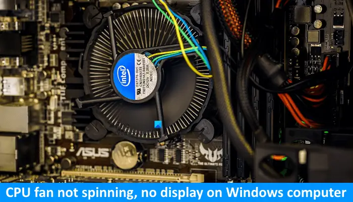 CPU fan not spinning no display